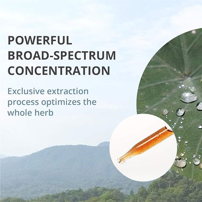 NutraMedix Cowden Support Program Month 6 - Bioavailable Herbal Detox Protocol Including Banderol, Burbur-Pinella, Samento Cat's Claw, Parsley, Houttuynia Tincture, Magnesium & More (15 Piece Set)