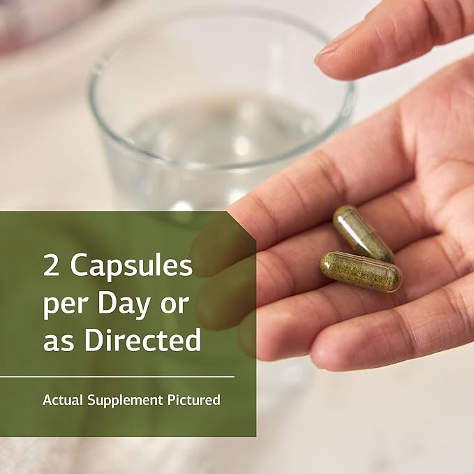 Standard Process Catalyn with Iron - Whole Food Energy, Vitality, and Antioxidant Support with Riboflavin, Vitamin B6, Thiamine, Wheat Germ, Vitamin A, Flaxseed Oil, Calcium - 150 Capsules