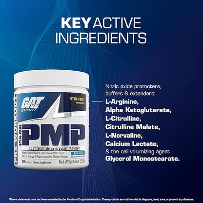 GAT SPORT PMP (Peak Muscle Performance), Pre-Workout, 30 Servings (Blue Raspberry (Stim-Free))