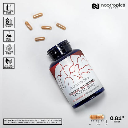 Nootropics Depot Tongkat Ali Extract Capsules | 200mg | 60 Count | 2% Eurycomanone by HPTLC | Eurycoma longifolia Root Extract