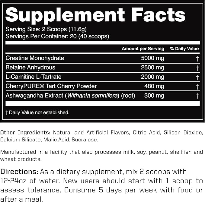 Outwork Nutrition Recovery Supplement, Post Workout Recovery Powder & Muscle Builder for Men and Women, Recharge Muscles After Gym, Backed by Science, Berry Splash, 240 Gr