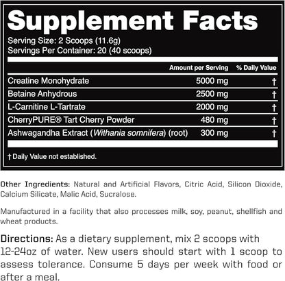 Outwork Nutrition Recovery Supplement, Post Workout Recovery Powder & Muscle Builder for Men and Women, Recharge Muscles After Gym, Backed by Science, Berry Splash, 240 Gr