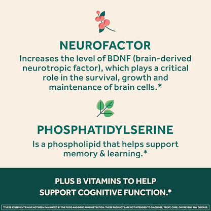 NEURIVA Ultra Decaffeinated Clinically Tested Nootropic Brain Supplement for Mental Alertness, Memory, Focus & Concentration, Cognivive, Neurofactor, Phosphatidylserine, 60ct Capsules (Pack of 2)