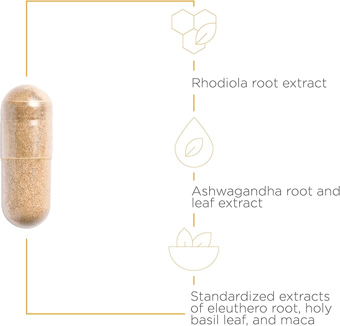 Integrative Therapeutics HPA Adapt - Supports a Healthy Stress Response* - Positive Outlook Supplement with Ashwagandha, Maca, Holy Basil & Rhodiola - Gluten-Free & Soy-Free - 120 Vegan Capsules