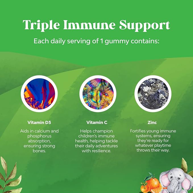 Organic Kids Immune Support Gummies - Vegan Organic Vitamin D Gummies for Kids with Vitamin C and Zinc for Kids Immunity - D3 Zinc and Vitamin C Gummies for Kids - Gluten Free & Non GMO (60 Servings)