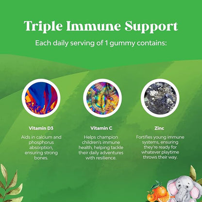 Organic Kids Immune Support Gummies - Vegan Organic Vitamin D Gummies for Kids with Vitamin C and Zinc for Kids Immunity - D3 Zinc and Vitamin C Gummies for Kids - Gluten Free & Non GMO (60 Servings)
