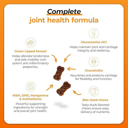 VetriScience GlycoFlex Plus Hip and Joint Supplement for Small Dogs - Extra-Strength Joint Support Chews for Dogs Under 30 Pounds, with Green Lipped Mussel, Chondroitin, and Glucosamine for Dogs
