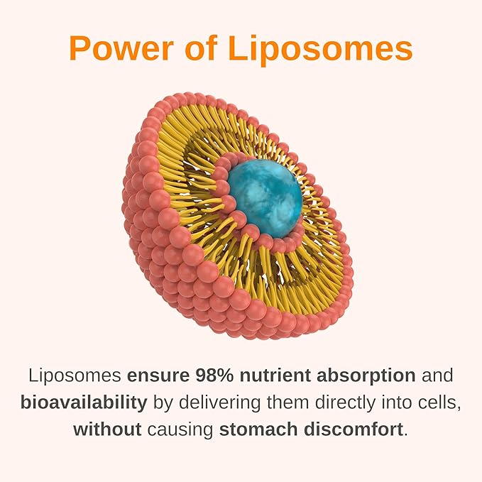 Liposomal Women's 50+ Liquid Multivitamin Drops | Non-GMO | Sugar Free | Supports Immunity, Overall Health and Energy | 30 Day Supply | 3 FL Oz (Natural Strawberry Flavor)
