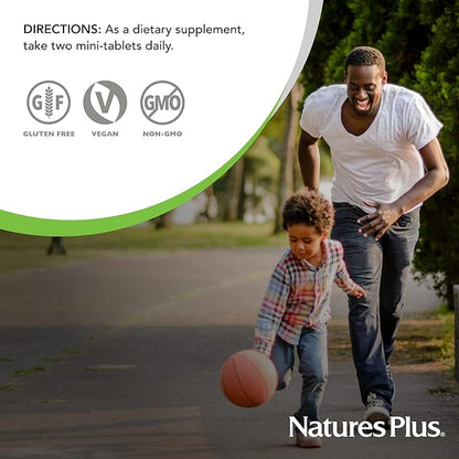 NaturesPlus Hema-Plex Iron - 60 Slow-Release Mini-Tabs - 2 Pack - 85 mg Chelated Iron - Total Blood Health - With Vitamin C & Bioflavonoids - Vegan, Gluten Free - 60 Total Servings