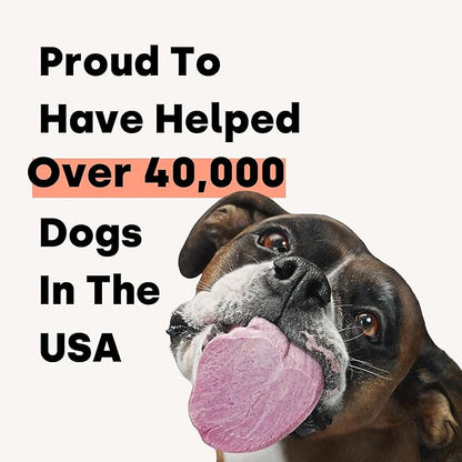 Kayode Daily Multi - Dog Multivitamin & Superfood Chew. Fill Nutrient Gaps. Helps Joints, Digestion, Heart, Brain, Urinary & More. Add Nutrients Dog Food Misses. Great for Puppies Too.