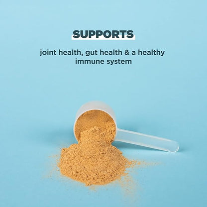 Protein Powder Made from Real Bone Broth by Ancient Nutrition, Turmeric, 20g Protein Per Serving, 20 Serving Tub, Gluten Free Hydrolyzed Collagen Peptides Supplement