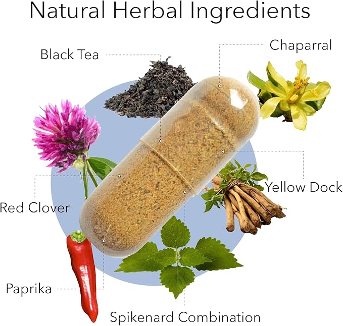 Kroeger Herb, Chem X, Daily Advanced Detox and Cleansing Formula, Supports Health Liver Function with Red Clover, Yellow Dock, Paprika & More - Non-GMO, Gluten Free, No Preservatives, Made in USA