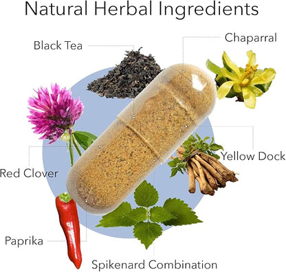 Kroeger Herb, Chem X, Daily Advanced Detox and Cleansing Formula, Supports Health Liver Function with Red Clover, Yellow Dock, Paprika & More - Non-GMO, Gluten Free, No Preservatives, Made in USA