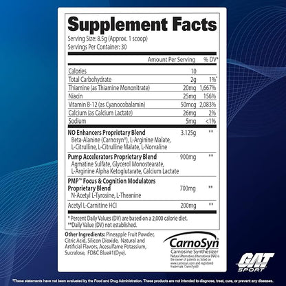 GAT SPORT PMP (Peak Muscle Performance), Pre-Workout, 30 Servings (Blue Raspberry (Stim-Free))