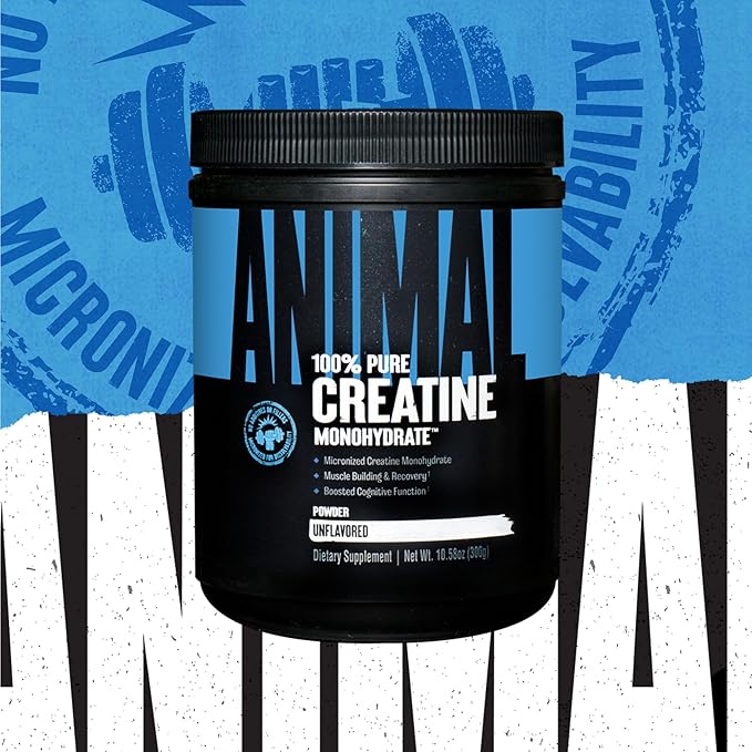 Animal Micronized Creatine Monohydrate Powder - Delays Muscle Fatigue, Supports Muscle Growth, Endurance, ATP Production, Cognitive Function, Strength, and Recovery for Men & Women - Unflavored, 300g