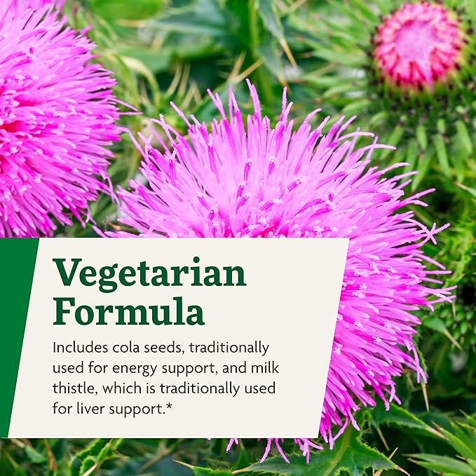 Floradix Epresat Adult Multivitamin - Daily Liquid Multivitamin with Vitamin A, Milk Thistle & More for Wellness - Energy Support & Liver Health Support - Vegetarian, Non-GMO - 8.5 fl oz