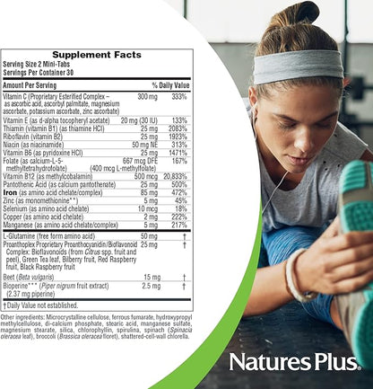 NaturesPlus Hema-Plex Iron - 60 Slow-Release Mini-Tabs - 2 Pack - 85 mg Chelated Iron - Total Blood Health - With Vitamin C & Bioflavonoids - Vegan, Gluten Free - 60 Total Servings