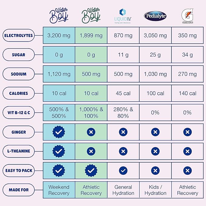 Waterboy Weekend Recovery | 3,187mg Electrolyte Powder Packets | Ginger + L-Theanine + Vitamins | No Sugar, All Natural, Gluten Free | 24 Drink Stick Mixes (Grape)
