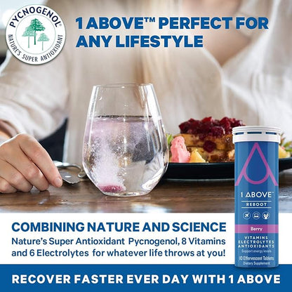 Jet Lag Relief Tablets - Berry-Flavored Effervescent Multivitamin with Pycnogenol Travel Supplement for Hydration, Energy, Immune Support and Faster Recovery - Flight Essential, 10 Tablets