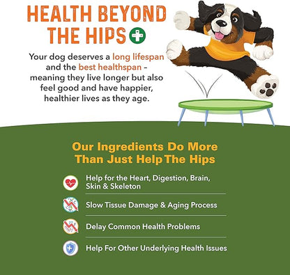 Bernie's Healthy HIPS - Daily Dog Hip and Joint Supplement - 90 Soft Chews - Reduce Pain, Encourage Mobility, Slow Damage, Repair and Rebuild HIPS and Joint Tissues