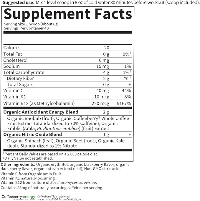 Garden of Life Sport Organic Plant-Based Energy + Focus Vegan Clean Pre Workout Powder, Sugar & Gluten Free BlackBerry Cherry with 85mg Caffeine, Natural NO Booster, B12, 40 Servings, 8.14 Oz