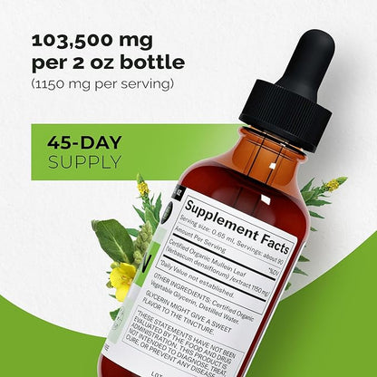 Mullein Leaf Liquid Extract 2 Fl Oz (Pack of 2) - Extra Strenght | Advanced Formula - Natural Supplement Liquid Tincture - Lung Cleanse and Detox - Respiratory Health and Immune Support Drops