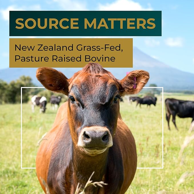 Grass Fed Beef Liver Capsules w/ Lions Mane for Energy, Focus & Memory | Grassfed Beef Liver Supplement Supports Full Body Wellness | Beef Organs Supplement for Men - Freeze Dried | 30 Serving-120 Cnt