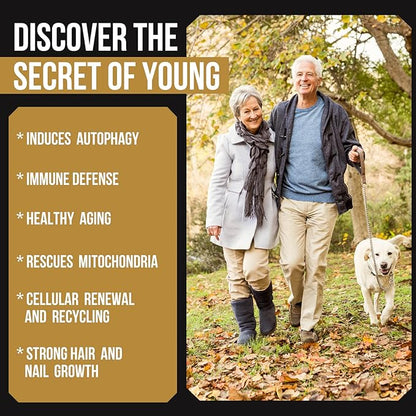 Spermidine Supplements 13mg - 1300mg Wheat Germ Extract Capsules Potent Formula with Higher Spermidine Content and Zinc for Healthy Aging, Daily Immune System and Cell Renewal (3 Pack)