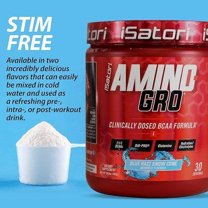 iSatori Amino-GRO BCAA Powder, Branched Chain Amino Acids with Glutamine, Electrolyte Powder & Bio-GRO Bio-Active Peptides for Muscle Growth & Post Workout Recovery, Blue Razz Snow Cone (30 Servings)