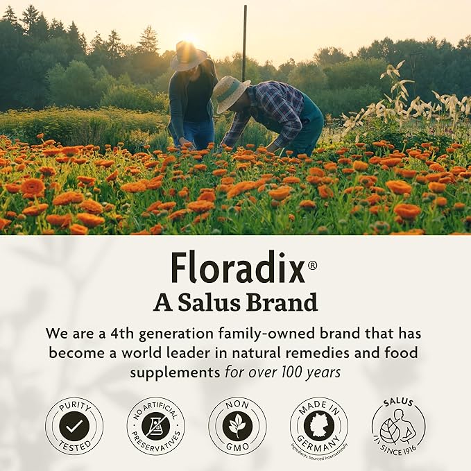 Floradix by Salus Iron & Herbs - Liquid Herbal Supplement for Energy Support - Iron Supplement with Vitamin C & B Complex Vitamins - Liquid Iron Supplement for Men & Women - 17 oz