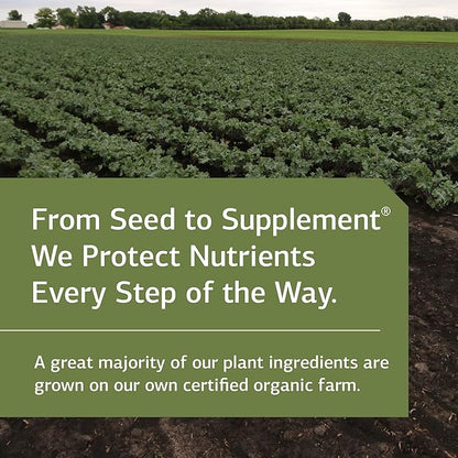 Standard Process SP Complete Dairy Free-Whole Food Nutrition, Immune Support, and Antioxidant Support with Rice Protein, Grapeseed Extract, and Choline - Vegetarian, Dairy Free-32 Ounce, 30 Servings