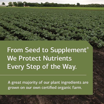 Standard Process Complete Vanilla-Whole Food Nutrition with Amino Acids,Immune Support and Antioxidant Support with Rice Protein,Grapeseed Extract,and Choline-Vegetarian,Vanilla-23 Ounce, 23 Servings