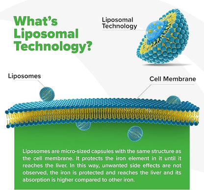 ORZAX Iron Supplement 25 mg -Liposomal Technology- High Bioavailability 90 Vegetable Capsules, Helps New Blood Cell Production, Non-Constipating, Non-GMO & Gluten Free, for Women, Men, Adults