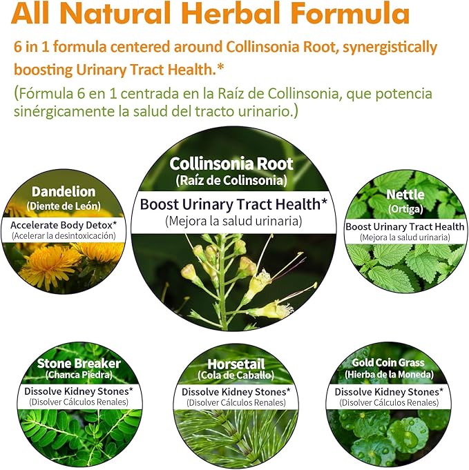 Collinsonia (Stone Root) Drops for Urinary Tract Health, Natural Herbal Formula Supplement w/Stone Breaker Chanca Piedra Extract Support Kidney Stones Dissolver & Detox Cleanse. 2oz