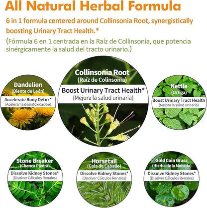 Collinsonia (Stone Root) Drops for Urinary Tract Health, Natural Herbal Formula Supplement w/Stone Breaker Chanca Piedra Extract Support Kidney Stones Dissolver & Detox Cleanse. 2oz