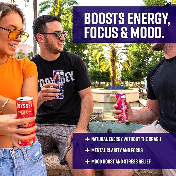 Odyssey Elixir Functional Beverage - Adaptogen Drink with Lions Mane, Cordyceps, L Theanine & Green Tea Caffeine - for Cognition, Energy & Mood Boost - 0 Added Sugar - Blackberry Lemonade - 12 Pack