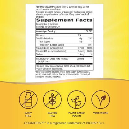 Nature's Way Brain Fuel, Supports Memory and Concentration*, Clinically Studied Cognigrape®, 60 Gummies, Grape Flavored
