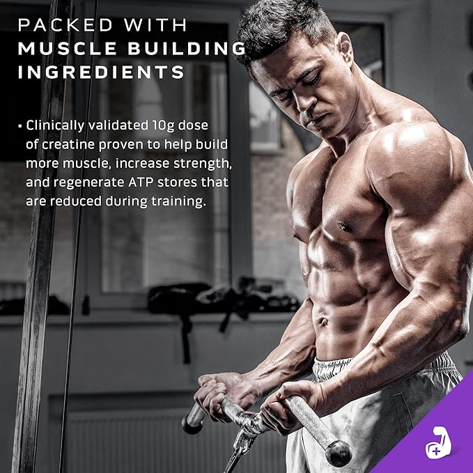 MuscleTech Mass Gainer Protein Powder, Mass-Tech Extreme 2000, Muscle Builder Whey Protein Powder, Protein + Creatine + Carbs, Max-Protein Weight Gainer for Women & Men, Triple Chocolate, 20 lbs