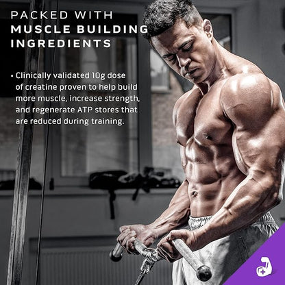 MuscleTech Mass Gainer Protein Powder, Mass-Tech Extreme 2000, Muscle Builder Whey Protein Powder, Protein + Creatine + Carbs, Max-Protein Weight Gainer for Women & Men, Triple Chocolate, 20 lbs