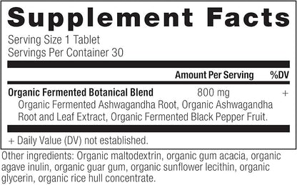 Ashwagandha Tablets by Ancient Nutrition, Stress Relief, Supports Energy, Mental Clarity and Concentration, Reduces Fatigue and Anxiousness, Paleo and Keto Friendly, 30 Capsules