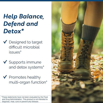 Researched Nutritionals Myc-P - Targeted Microbial Support - Cat's Claw, SIDA Acuta, Houttuynia, Chinese Skullcap, Bearberry - Vegan Herb Extract for Immune & Cleanse Detox Support (4 Fl Oz)