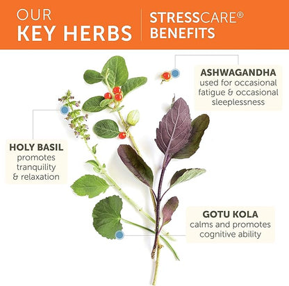 Himalaya StressCare Herbal Supplement, Supports Stress Relief, Energy Support, Relaxation, Occasional Sleeplessness, Ashwagandha, Holy Basil/Tulsi, Gotu Kola, Non-GMO, Vegetarian, 60 Capsules