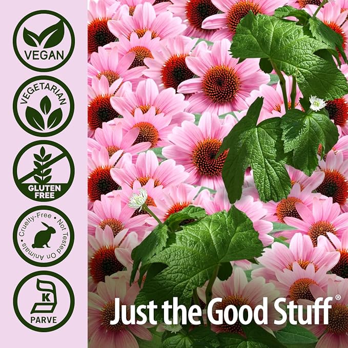 Nature's Answer Echinacea & Goldenseal | Dietary Supplement | Supports a Healthy Immune System | Non-GMO & Kosher Certified | Vegetarian/Vegan Capsules 90ct