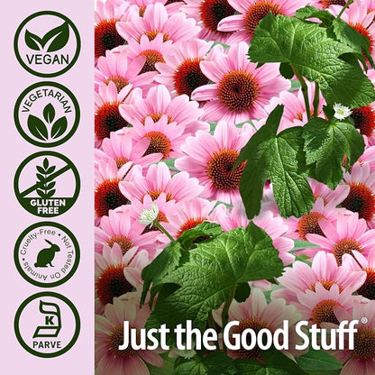 Nature's Answer Echinacea & Goldenseal | Dietary Supplement | Supports a Healthy Immune System | Non-GMO & Kosher Certified | Vegetarian/Vegan Capsules 90ct