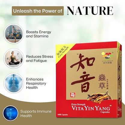 Vita Green Yin Yang Cordyceps Mycelium Herbal Supplement - Supports Respiratory Wellness, Energy, and Liver & Kidney Health - 60 Capsules