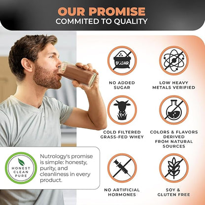 Nutrology TRIPACT Protein Powder, Creamy Chocolate, 7-in-1 Meal Replacement Shake with Grass Fed Whey Protein Powder, Pea Protein Powder, Greens, Probiotics & BCAAs, 40 Servings