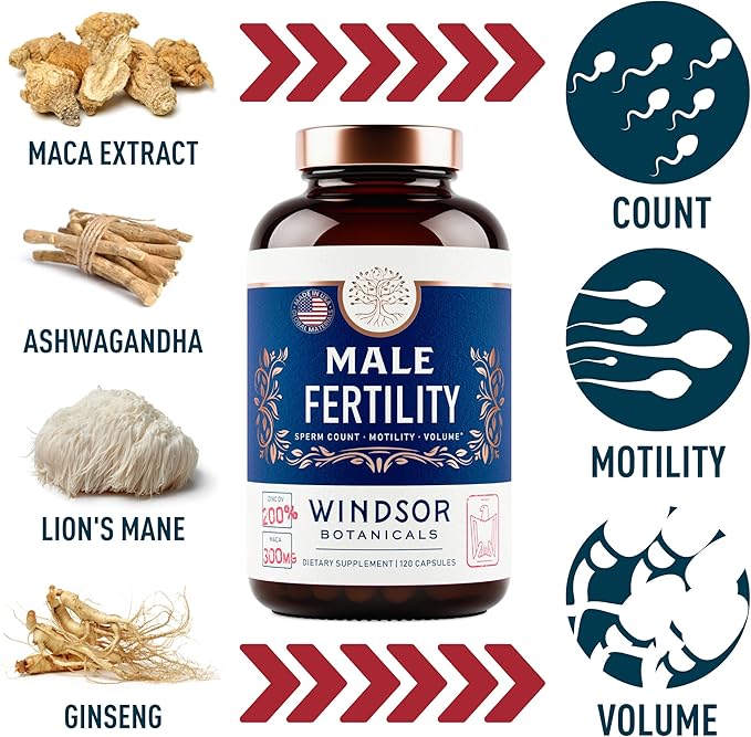 Fertility Supplements for Men Prenatal Vitamins - Conception for Him Male Fertility Vitamin and Fertility Support Supplement - Zinc, Maca, Ashwagandha, L Arginine - 2-Pack, 240 Fertility Pills