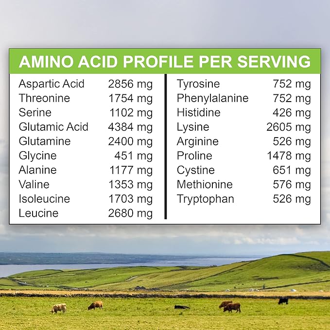 MariGold Grass-fed Whey Protein Isolate Powder - Creamy Vanilla Flavor - 1 Lb Bag | 100% Pure, Cold-Processed, Micro-Filtered, Undenatured, Non-GMO, rBGH Free, Soy Free, Gluten Free, Lactose Free