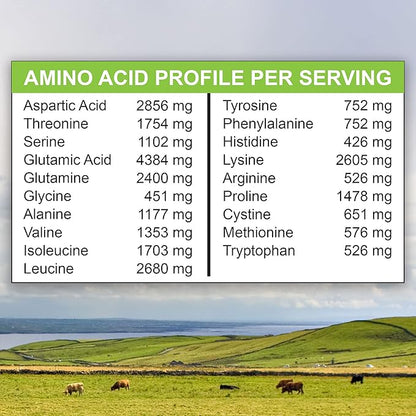 MariGold Grass-fed Whey Protein Isolate Powder - Creamy Vanilla Flavor - 1 Lb Bag | 100% Pure, Cold-Processed, Micro-Filtered, Undenatured, Non-GMO, rBGH Free, Soy Free, Gluten Free, Lactose Free