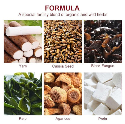 Laicuherb Natural Fertility Tea, for Women Hormone Balance & Conception Support, 20 Tea Bags Spearmint Tea to Support Menstrual Cycle & Reproductive Health, Organic Conception Tea to Get Pregnant Fast